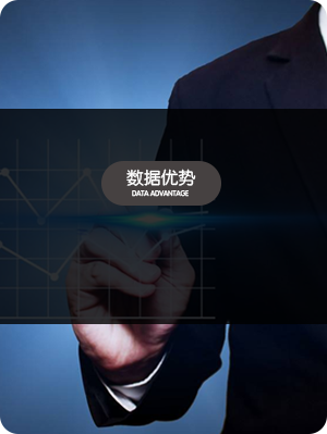 数据优势