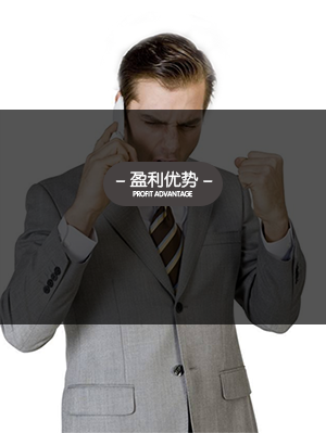 盈利优势