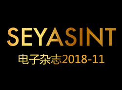 SEYASINT电子杂志2018-11