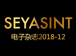 SEYASINT电子杂志2018-12