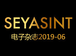 SEYASINT电子杂志2019-06